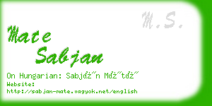 mate sabjan business card